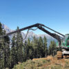 Abatteuse Neuson Forest 243HV/243HTV