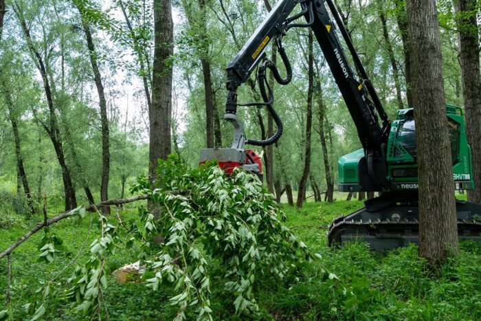 Abatteuse Neuson Forest 243HV/243HTV – Image 2