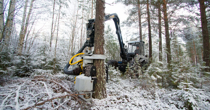 Abatteuse Vimek 404 T8 – Image 8